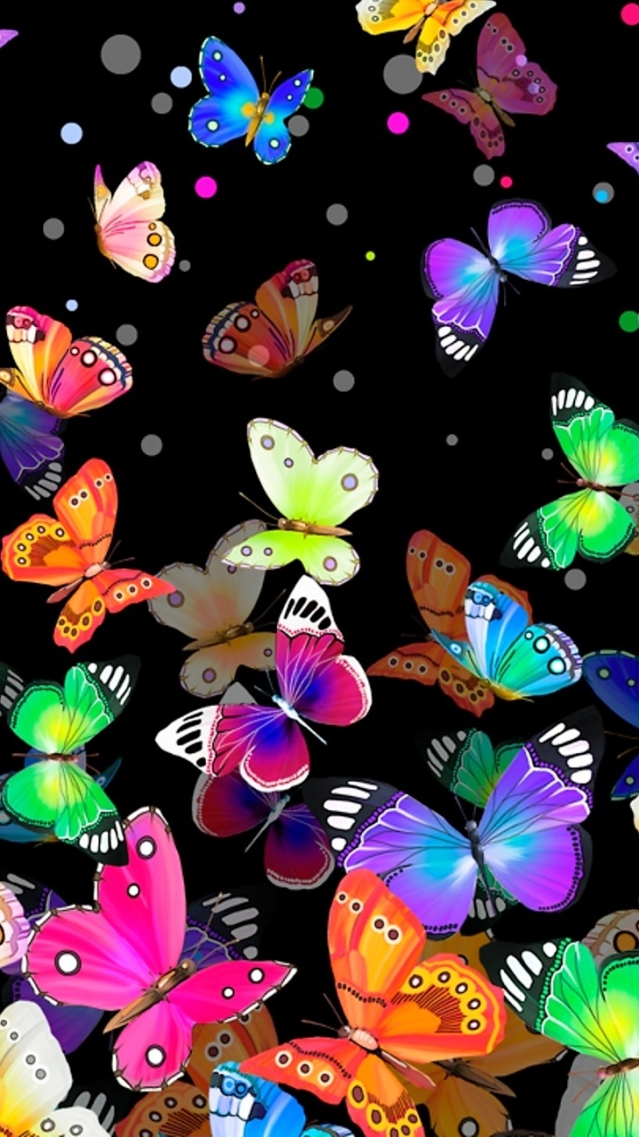 Wallpaper - Colorful Butterfly , HD Wallpaper & Backgrounds