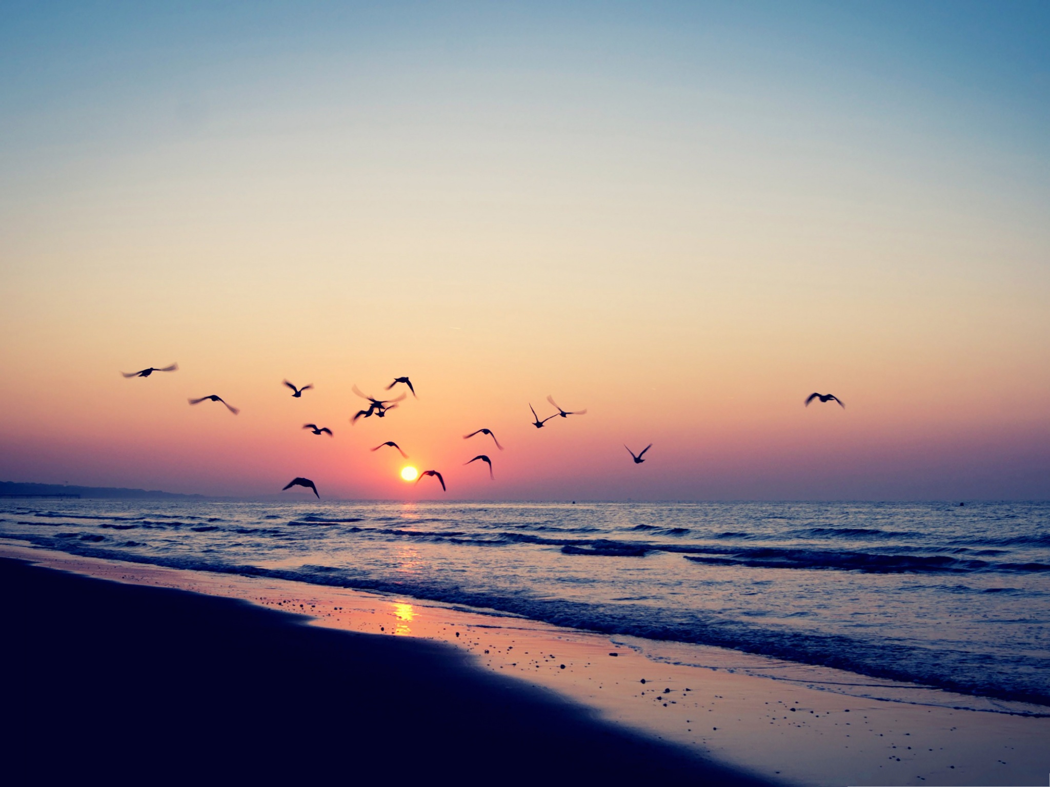 Click To Free Download The Wallpaper Flying Birds Landscape, - Fondo De Pantalla Sunset , HD Wallpaper & Backgrounds