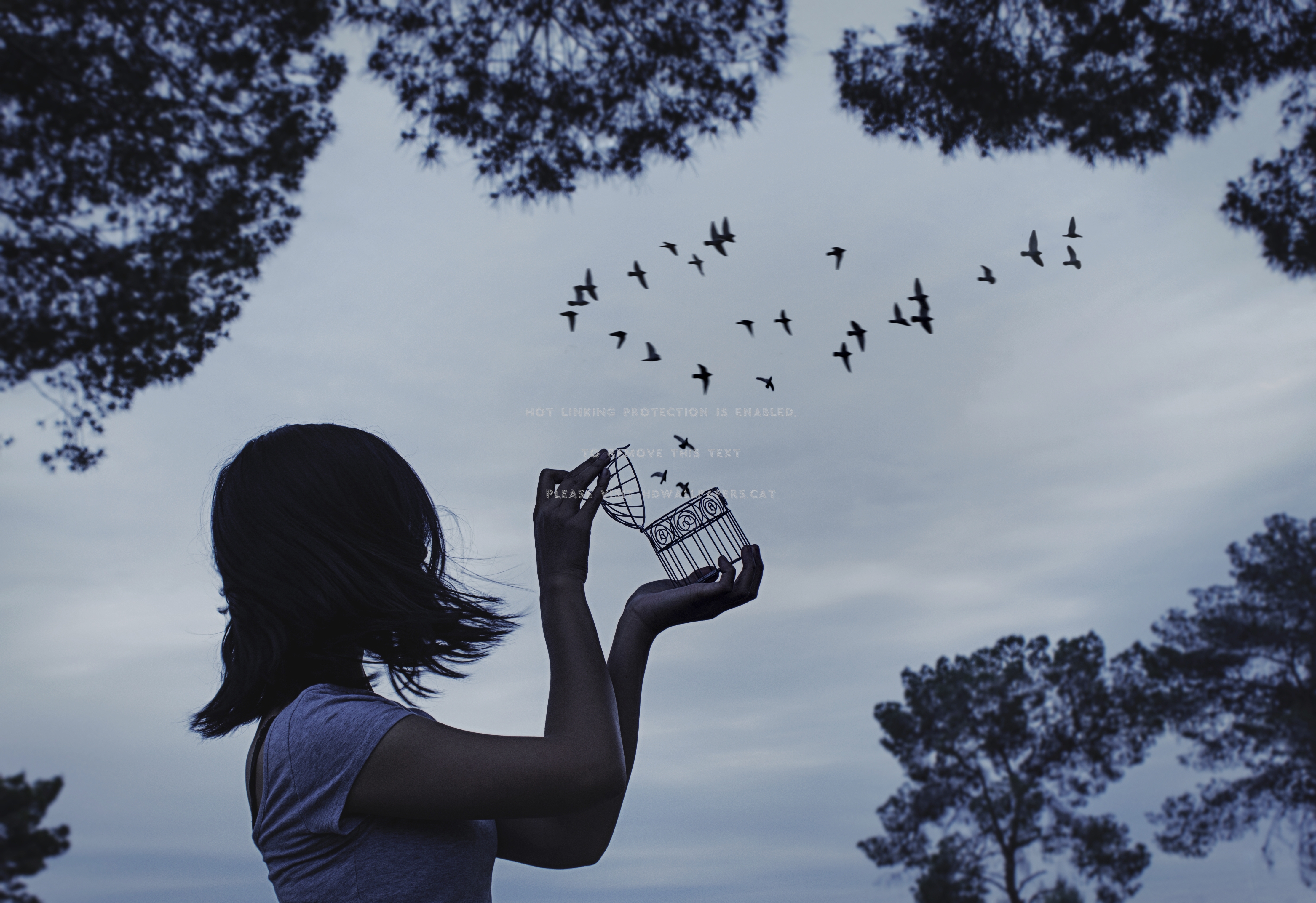 Free Bird Girl Cage Sky Freedom Trees - Photography Conceptual Photography Freedom , HD Wallpaper & Backgrounds