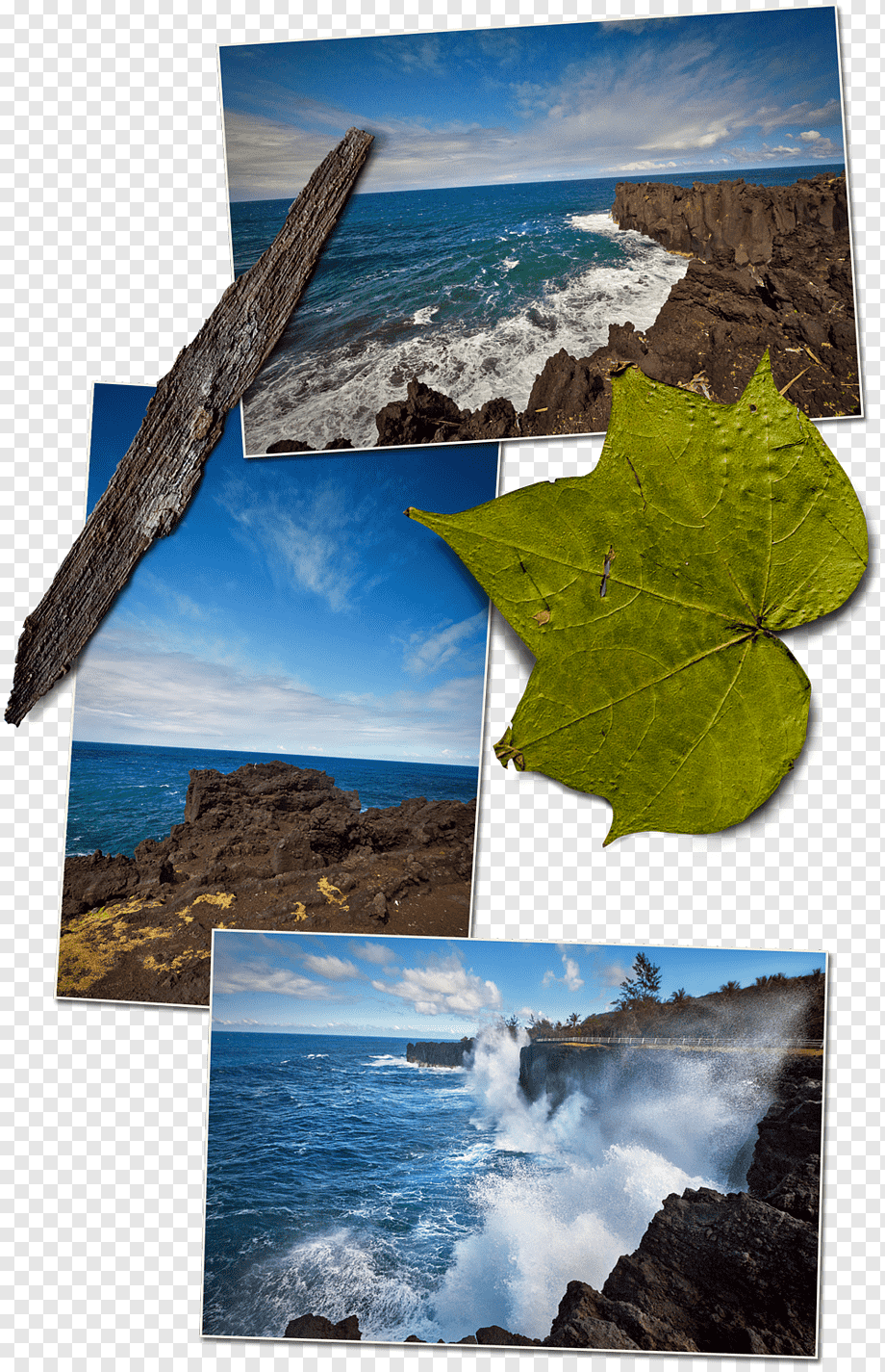 Nature Ecosystem Desktop Energy Collage, Energy, Computer, - Sea , HD Wallpaper & Backgrounds