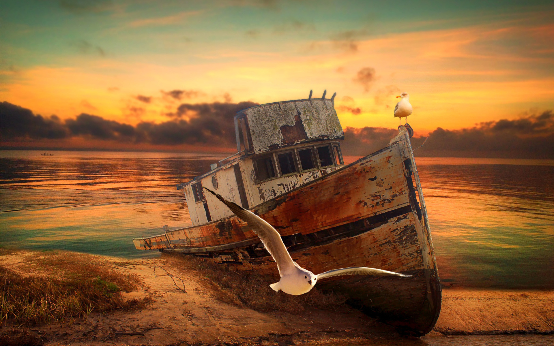 Abandoned Boat, Sunset, Seagulls, Shore, Fishing Boat, - Mensagens Nutrindo Sua Mente , HD Wallpaper & Backgrounds