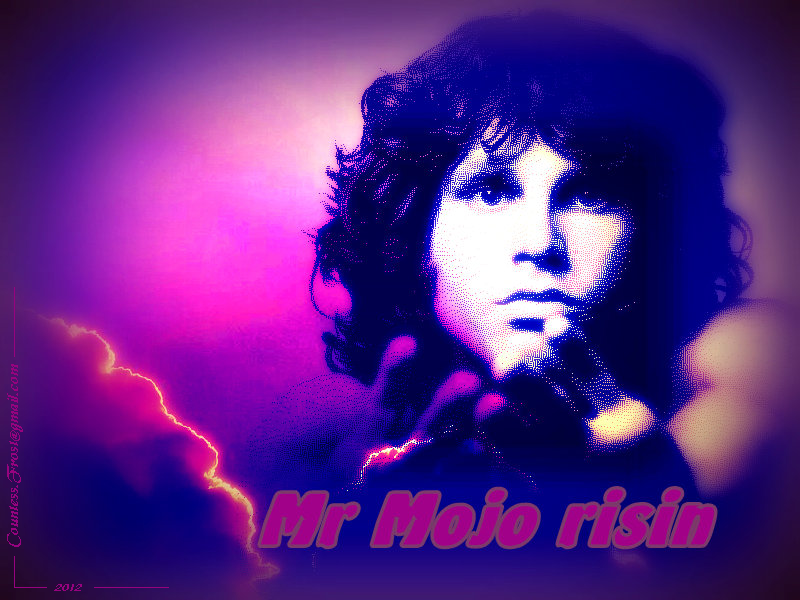 Mr Mojo Risin - Doors Wallpaper Jim Morrison , HD Wallpaper & Backgrounds