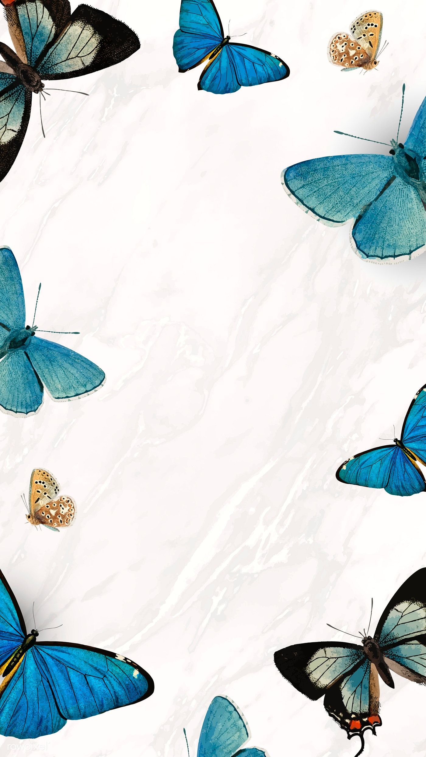 Blue Butterfly Wallpaper Aesthetic , HD Wallpaper & Backgrounds