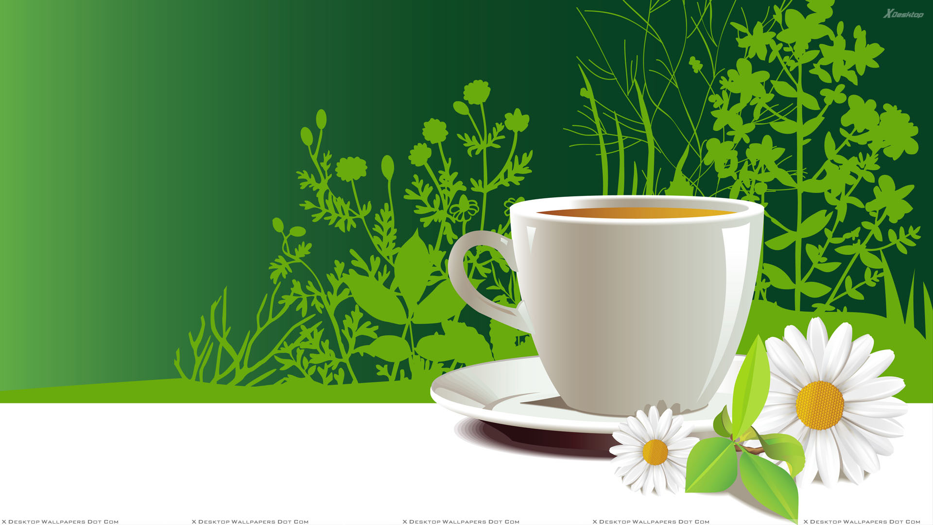 Tea Cup Full Hd , HD Wallpaper & Backgrounds