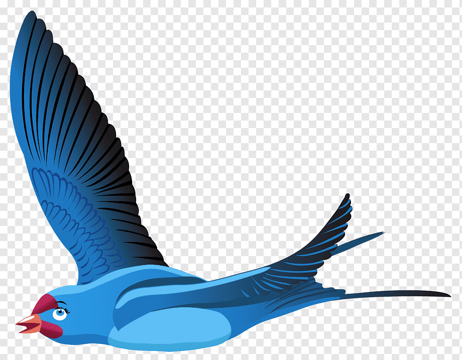 Bird Flight Red-billed Leiothrix Bird Flight Blue, - Leiothrix , HD Wallpaper & Backgrounds