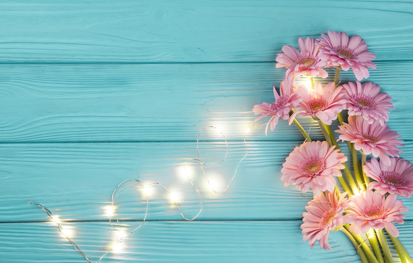 Photo Wallpaper Background, Blue, Bouquet, Pink, Gerbera, - Gerbera Flowers , HD Wallpaper & Backgrounds
