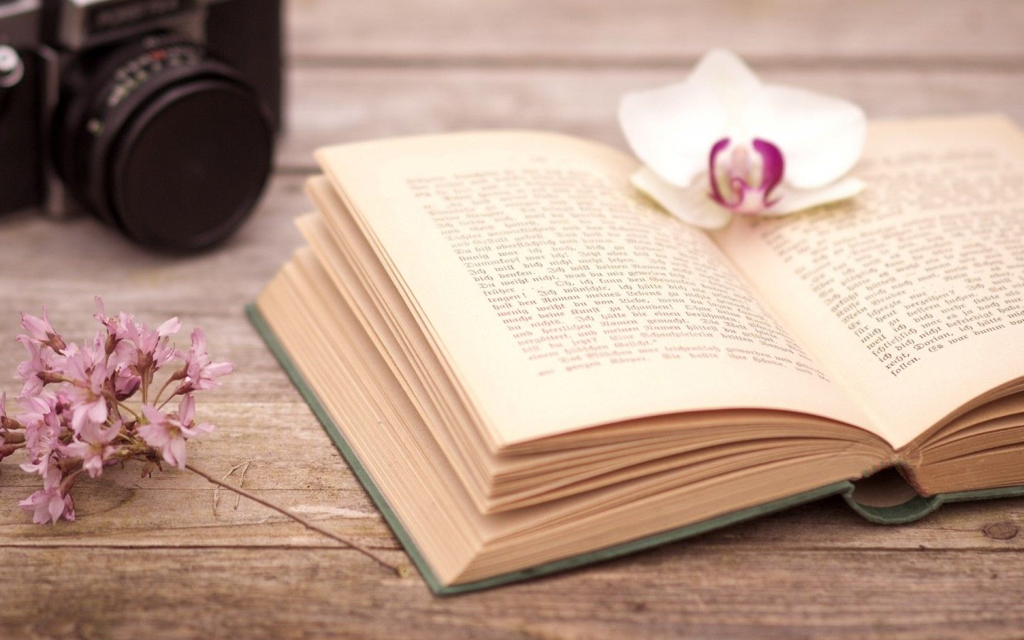Flower And Book Background , HD Wallpaper & Backgrounds