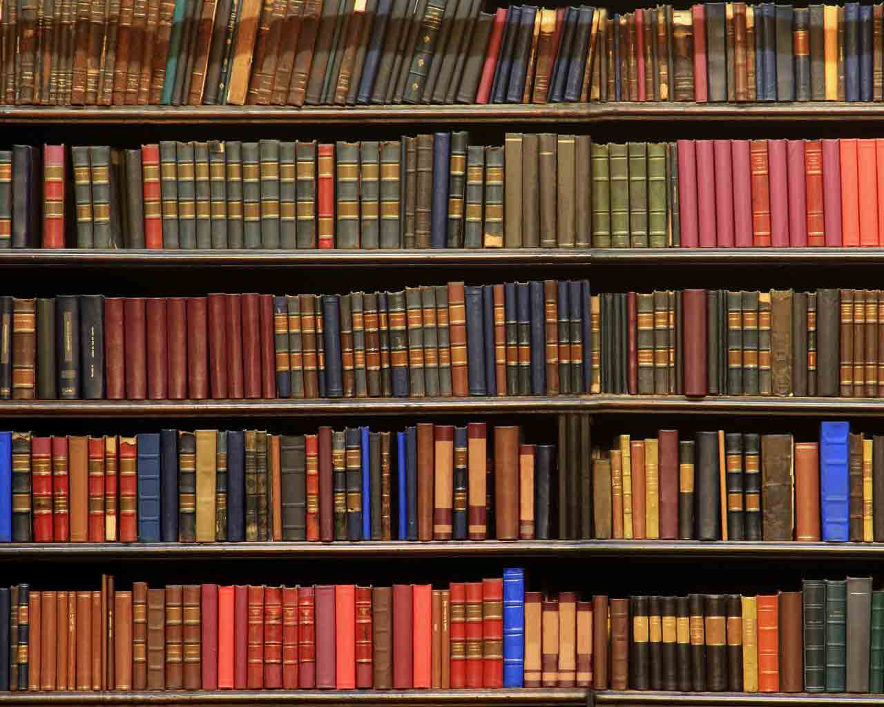 Книжные Полки С Книгами Картинки