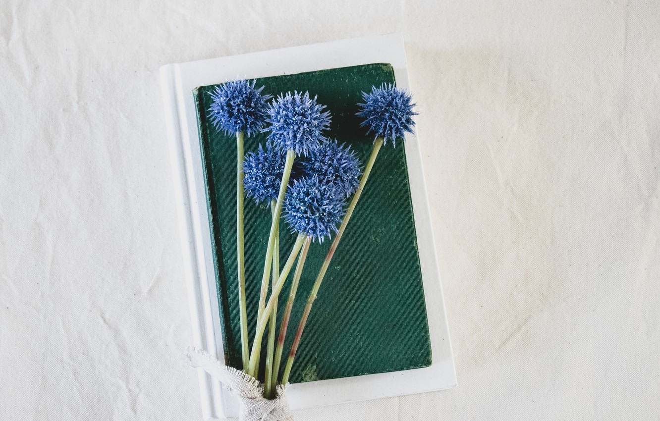 Photo Wallpaper Flowers, Background, Books, Fabric - Flower , HD Wallpaper & Backgrounds