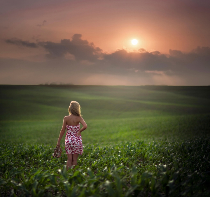 Sun, Girl, Field, Open Space, Grass, Sunset, Evening - Блондинок Со Спины В Платьях , HD Wallpaper & Backgrounds