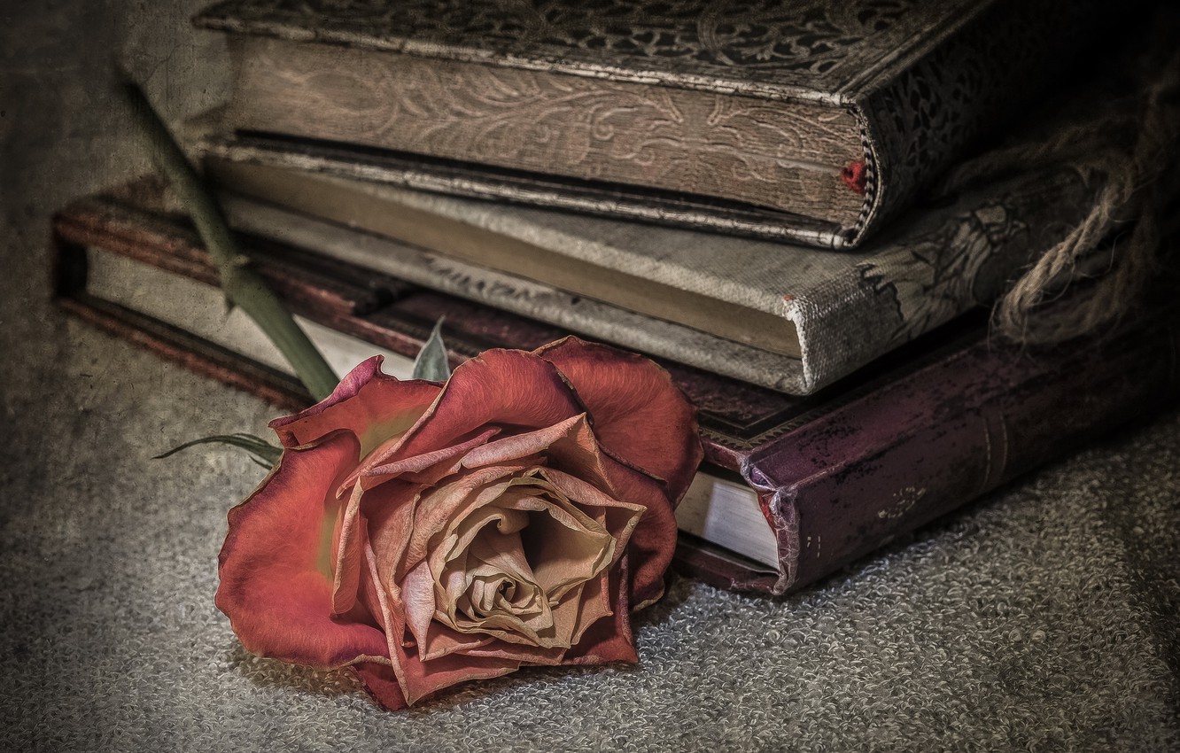 Photo Wallpaper Background, Rose, Books - Stare Róże , HD Wallpaper & Backgrounds