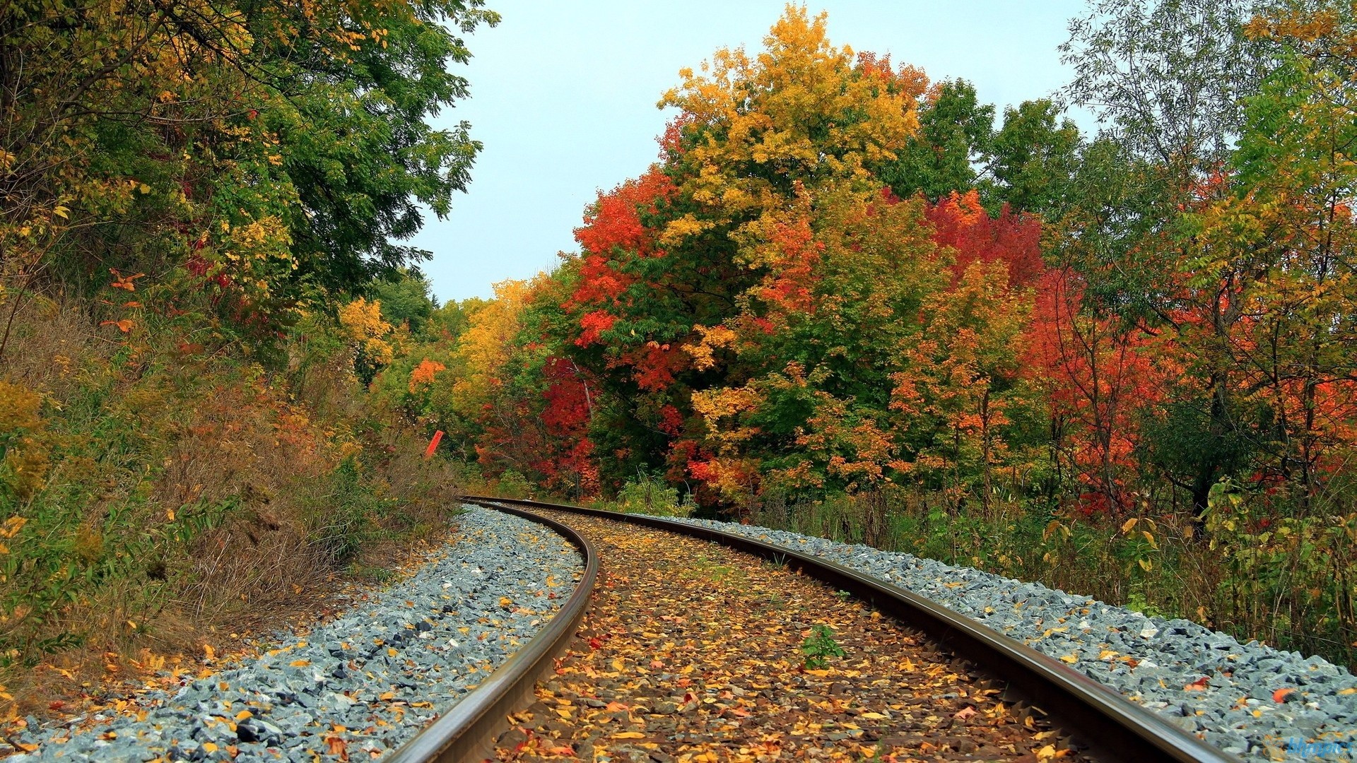 Train Patri Wallpaper - Train Tracks In Fall , HD Wallpaper & Backgrounds