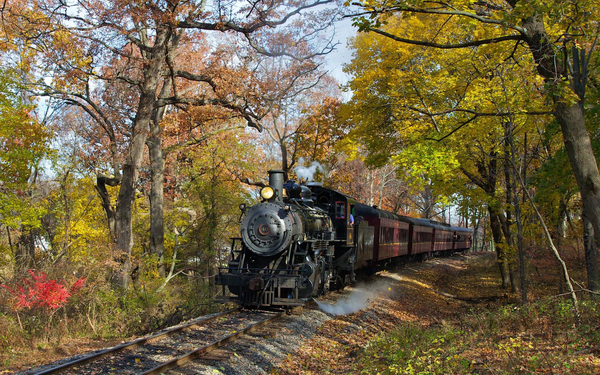 Autumn Train Wallpaper,fall Hd Wallpaper,locomotive - Old Train In Forest , HD Wallpaper & Backgrounds
