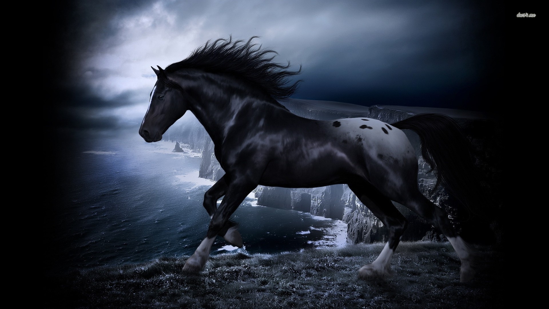 Horse Black And White , HD Wallpaper & Backgrounds