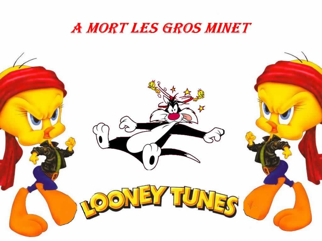 Tweety Wallpaper Looney Tunes Hd - Crazy Tweety Bird , HD Wallpaper & Backgrounds