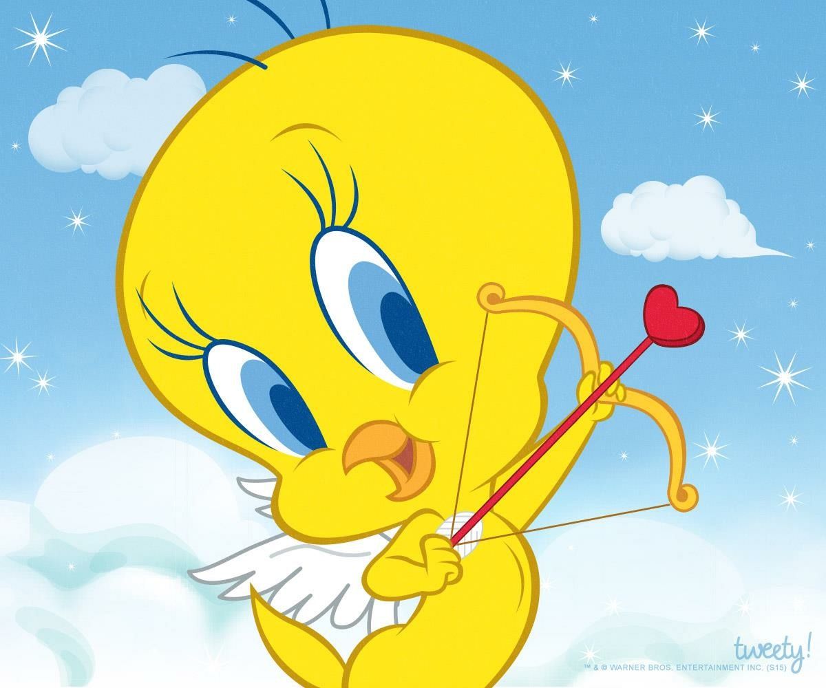 Tweety Happy Valentines Day , HD Wallpaper & Backgrounds