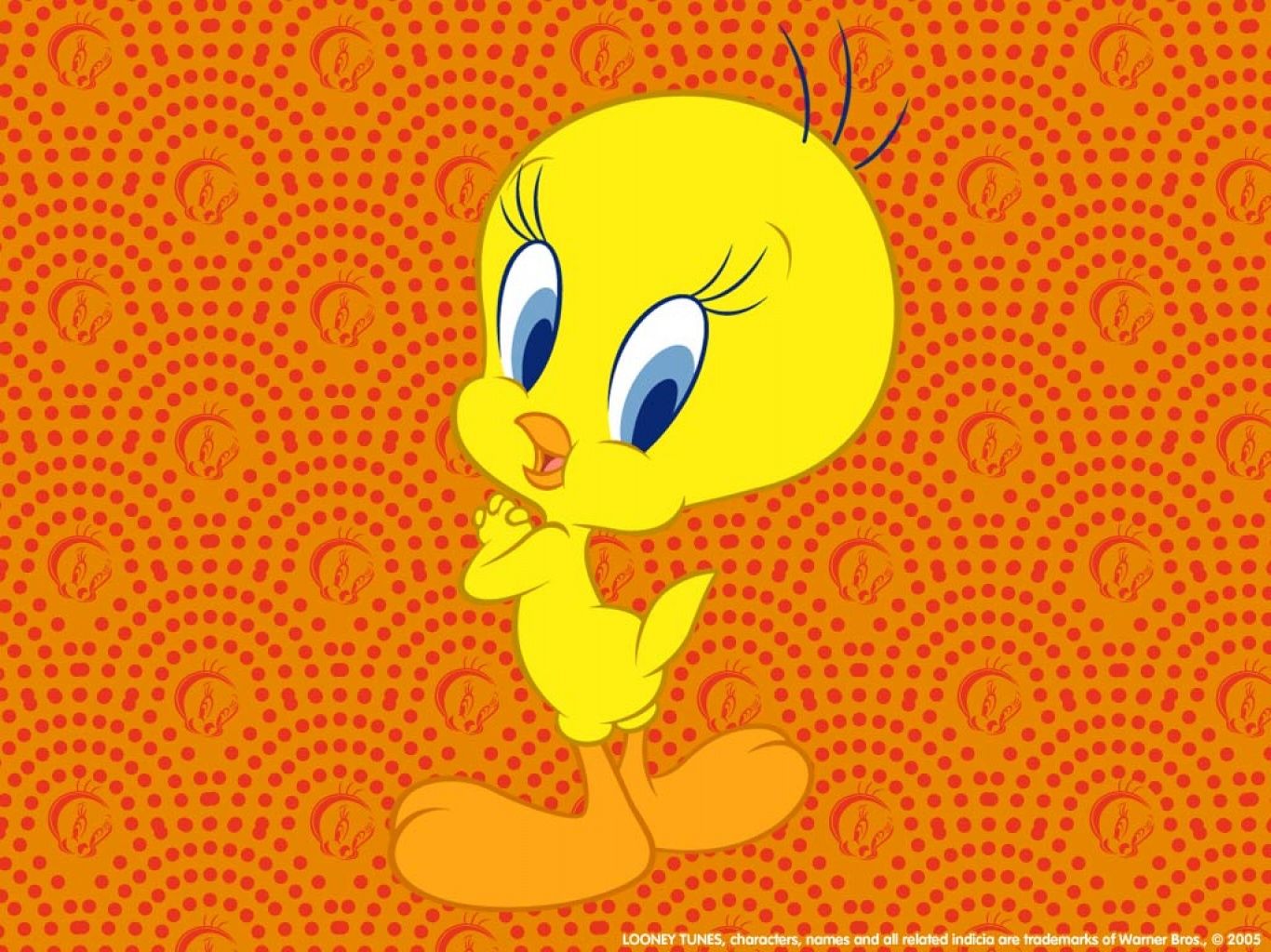 Wallpapers Of Tweety - Dibujos Animado Para Fondo De Pantalla , HD Wallpaper & Backgrounds