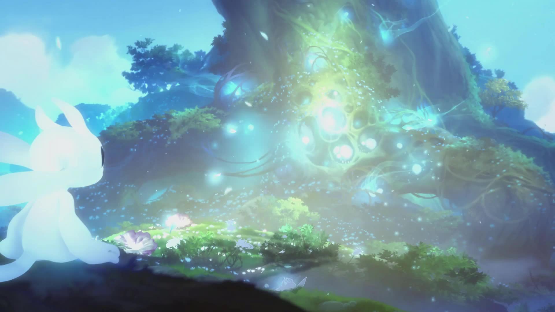 Ori And The Will Of The Wisps , HD Wallpaper & Backgrounds