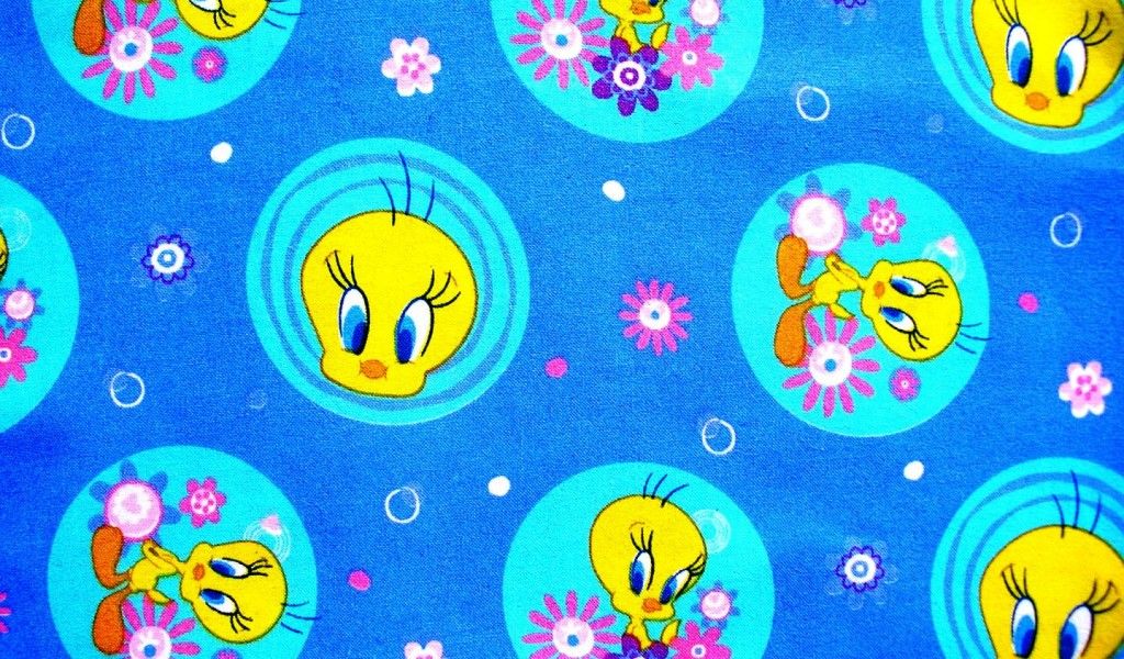 #pixzsal Tweety Bird Wallpaper And Screensavers Px - Wallpaper , HD Wallpaper & Backgrounds