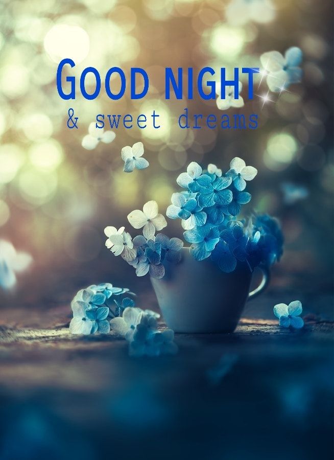 Sorry And Good Night , HD Wallpaper & Backgrounds