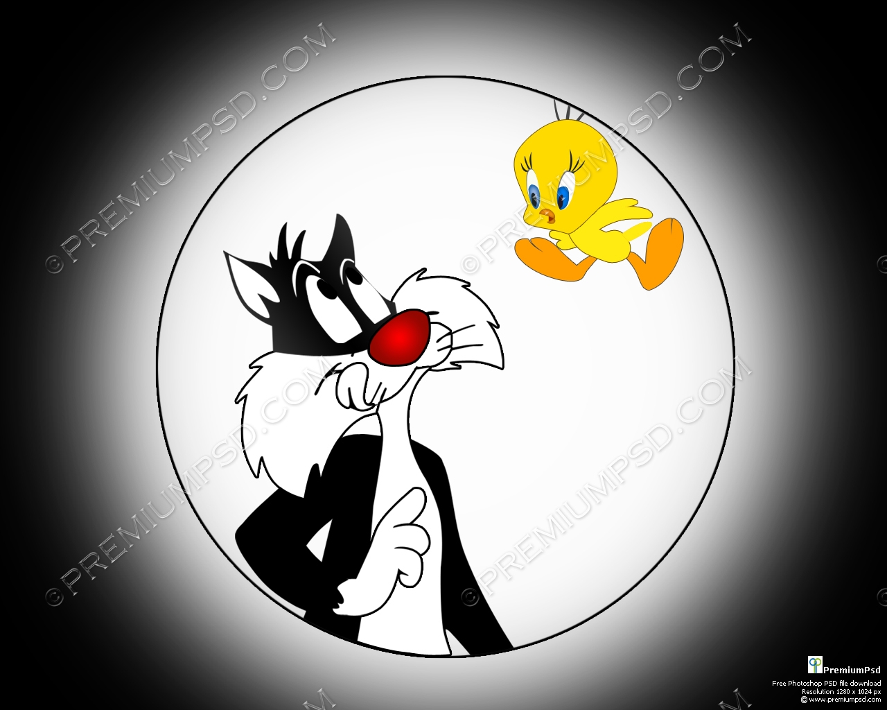 Wallpapers Tweety And Sylvester Wallpapers Tweety And - Cartoon , HD Wallpaper & Backgrounds