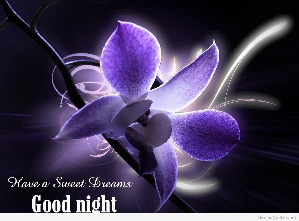 Funny Good Night Wallpaper - Happy Good Night Take Care Sweet Dreams , HD Wallpaper & Backgrounds