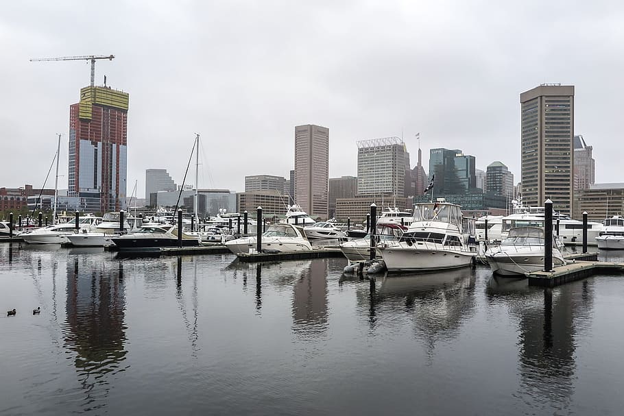 Marina And Waterfront In Baltimore, Maryland - Baltimore , HD Wallpaper & Backgrounds
