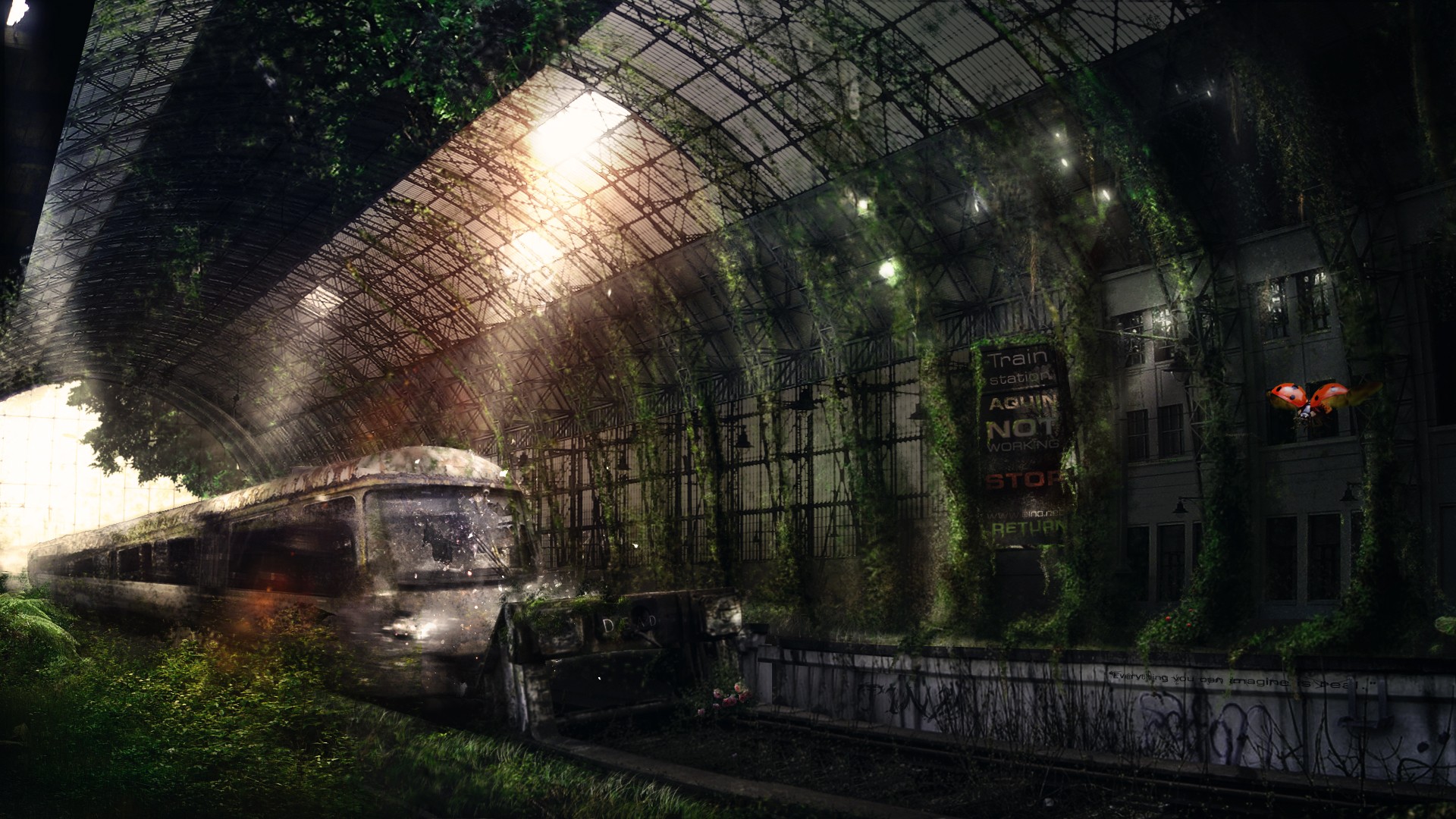 Wallpaper - Abandoned Train In Forest , HD Wallpaper & Backgrounds
