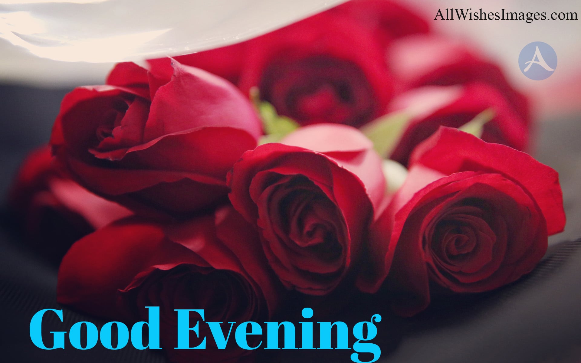 Good Evening Images With Flower - Flower Good Evening Hd , HD Wallpaper & Backgrounds