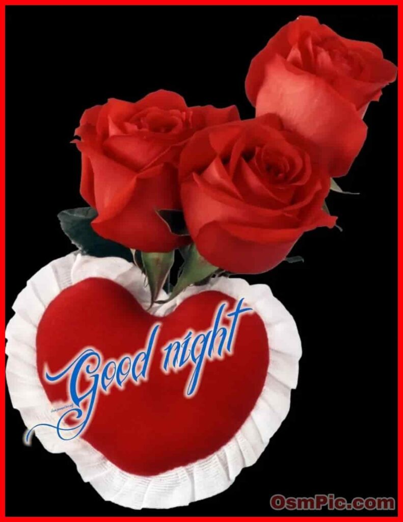 New Good Night Images Whatsapp Pictures Free Download - Rose Beautiful Good Night , HD Wallpaper & Backgrounds