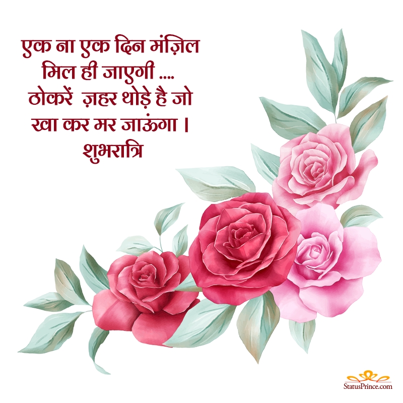 Best Hindi Good Night Shayari - Rose Flower Corner Border , HD Wallpaper & Backgrounds