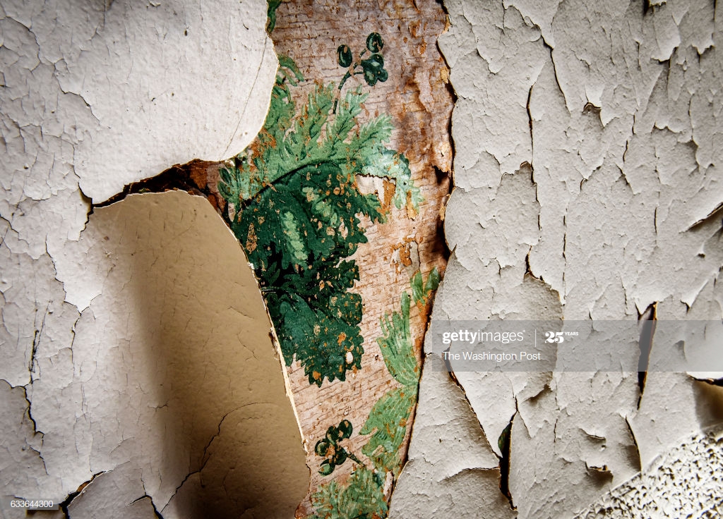 The Last Days Of A Row Of Houses Slated For Demolition - Wood , HD Wallpaper & Backgrounds