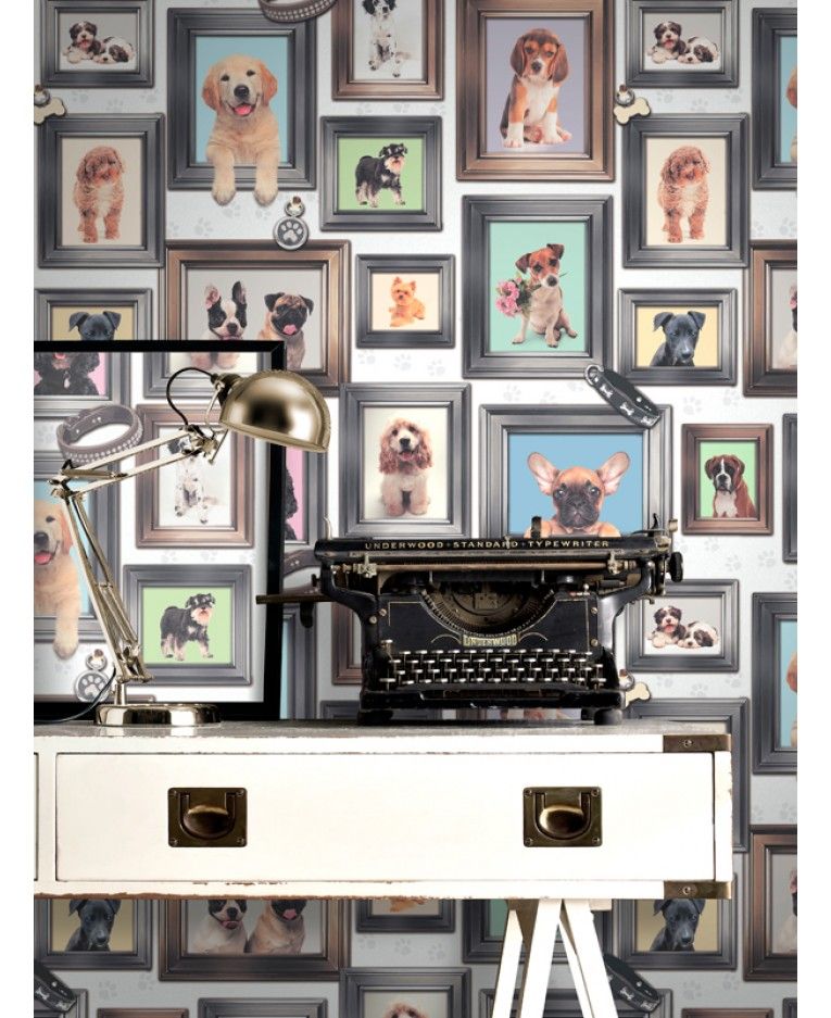 Honden Behang , HD Wallpaper & Backgrounds