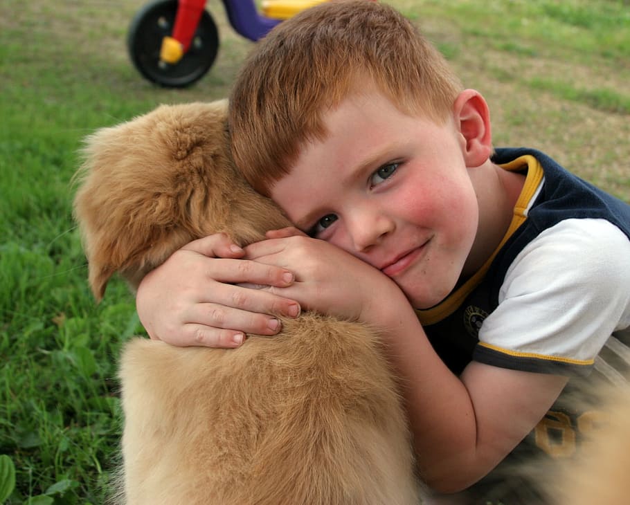 Brown Dog Beside Boy, Puppy, Love, Cute, Happy, Friendship, - Aileen Fisher Poems My Puppy , HD Wallpaper & Backgrounds