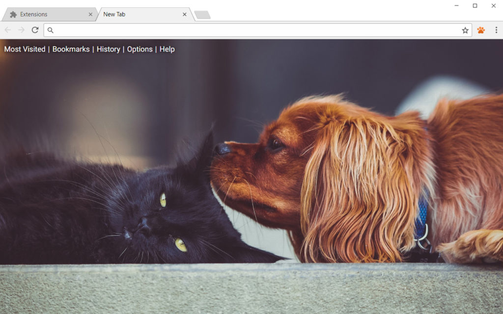 Cats Dogs Wallpaper - Кошка И Собака , HD Wallpaper & Backgrounds
