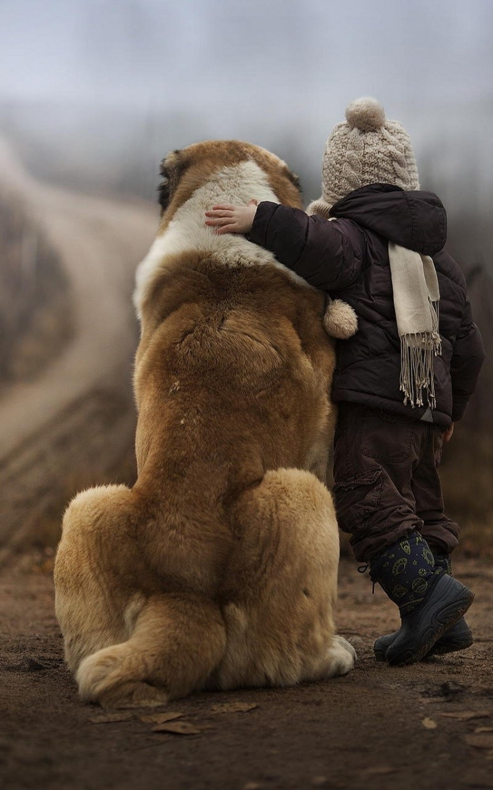 Big Dog, Kid, Friendship - Dog And Kid Hd , HD Wallpaper & Backgrounds