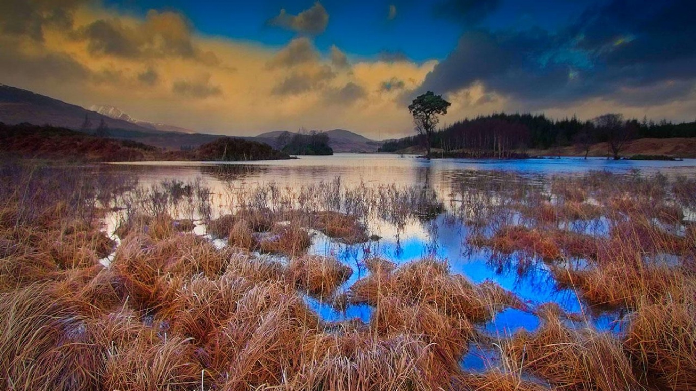 The Scottish Bog - Examples Of Landscape Photography , HD Wallpaper & Backgrounds