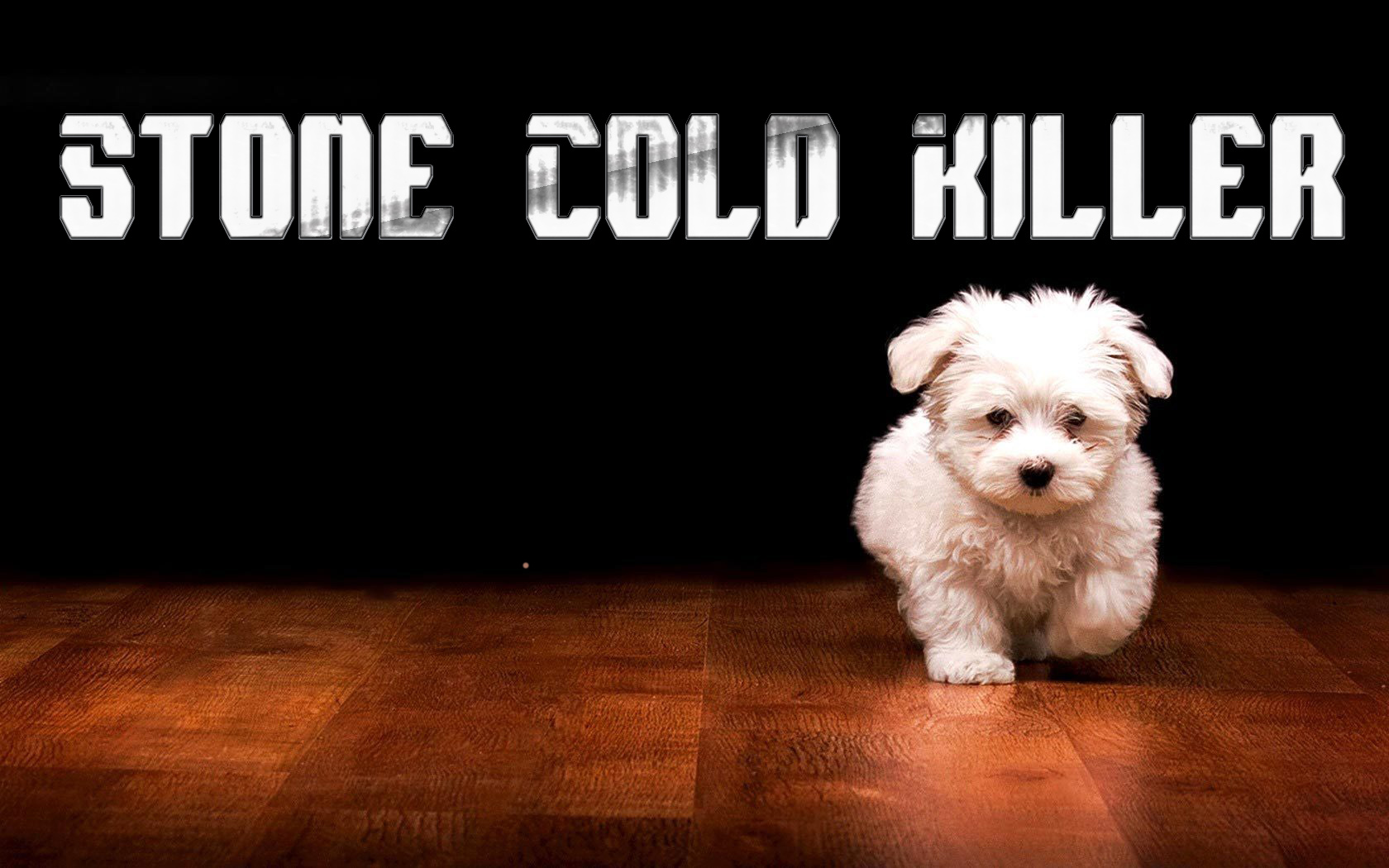 Dog Killer Humor Funny Puppy Puppies Cute Sadic Dogs - Cute Animal Meme Backgrounds , HD Wallpaper & Backgrounds