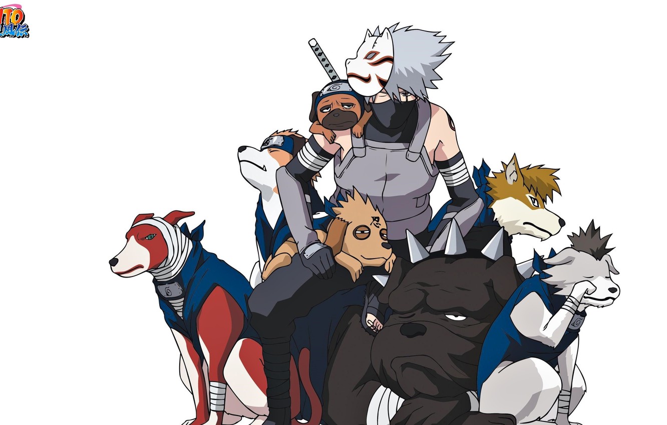 Photo Wallpaper Game, Naruto, Hunter, Anime, Dog, Man, - Naruto Kakashi Dogs , HD Wallpaper & Backgrounds
