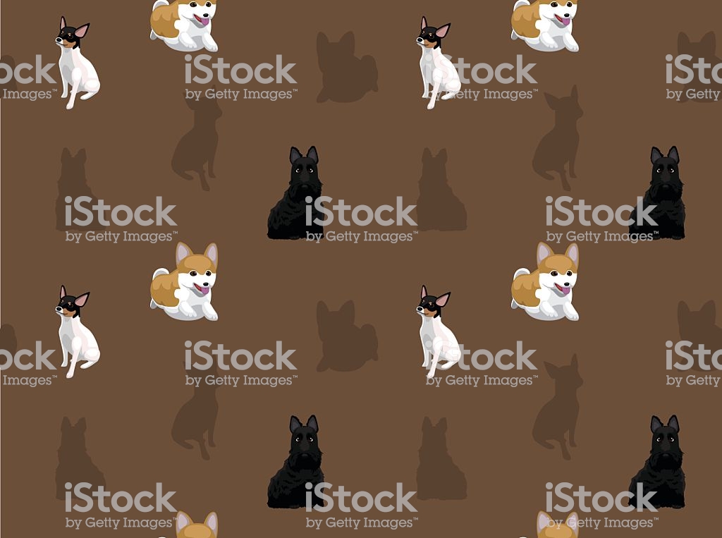 Dog Wallpaper - Dindon , HD Wallpaper & Backgrounds
