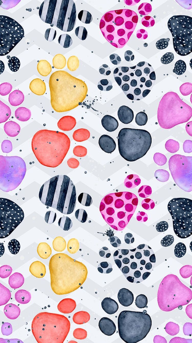 Colourful Paw Prints , HD Wallpaper & Backgrounds