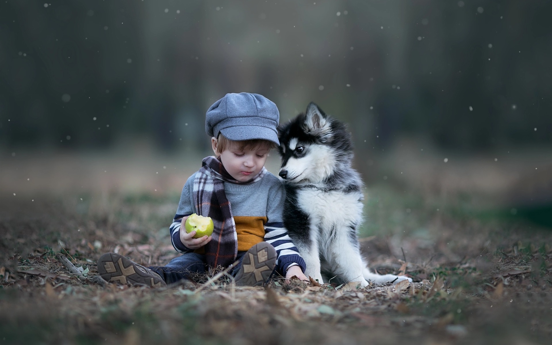 Wallpaper Cute Child Boy And Dog, Green Apple, Snow - Your Best Friend Doesn T Have , HD Wallpaper & Backgrounds