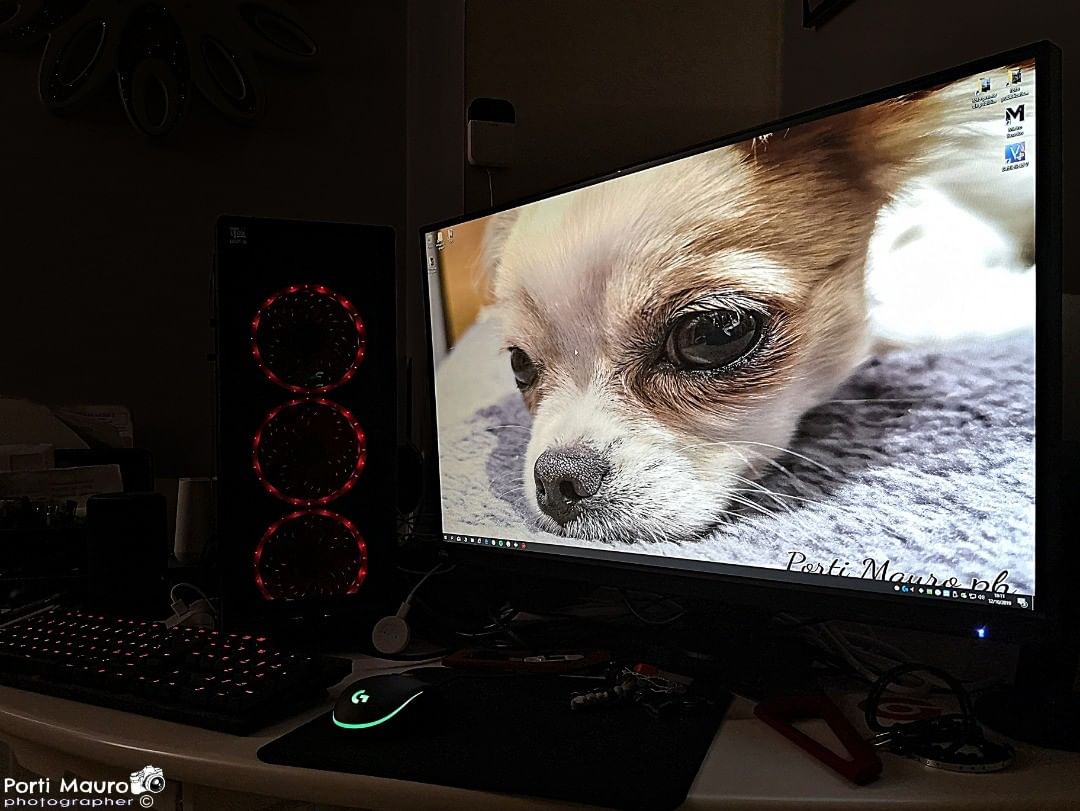 Dog Desktop Wallpaper , HD Wallpaper & Backgrounds