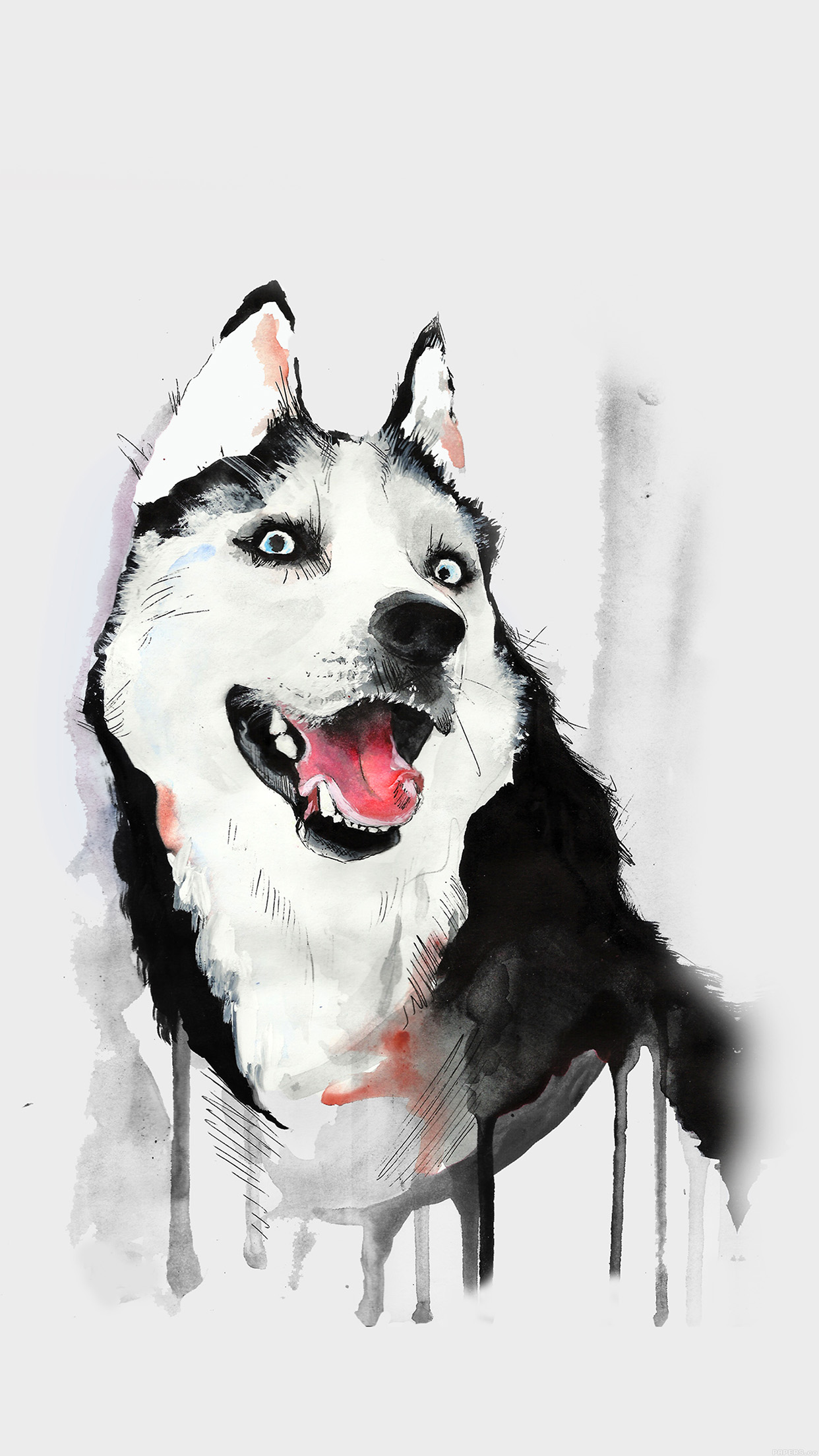 Husky Dog Wallpaper Iphone , HD Wallpaper & Backgrounds