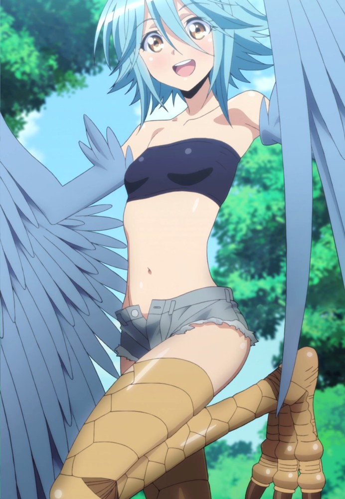 Papi The Harpy Wallpaper - Anime Hot Monster Girls , HD Wallpaper & Backgrounds