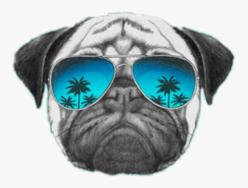 Pug Dog Wallpaper Iphone, Hd Png Download, Free Download - Pug With Sunglasses Stickers , HD Wallpaper & Backgrounds