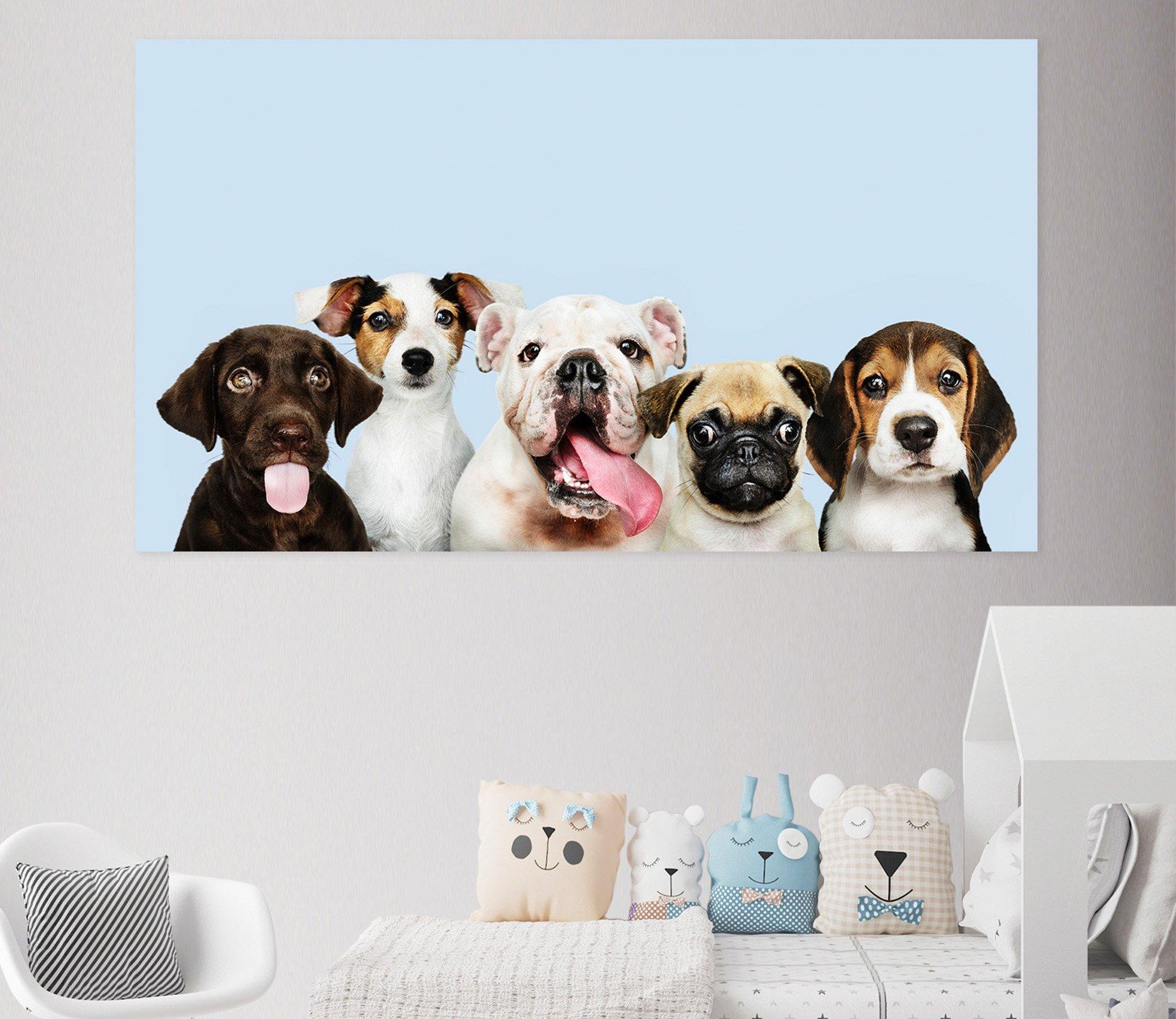 3d Blue Sky Puppy 07 Animal Wall Stickers Wallpaper - Variation In Dogs , HD Wallpaper & Backgrounds