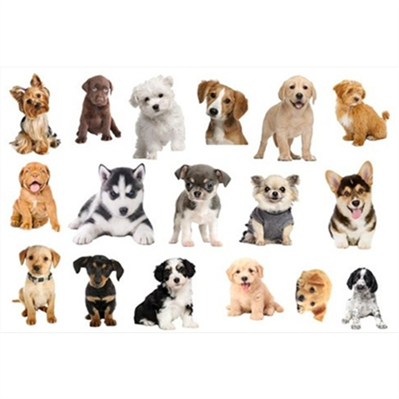 Puppy Wall Stickers , HD Wallpaper & Backgrounds
