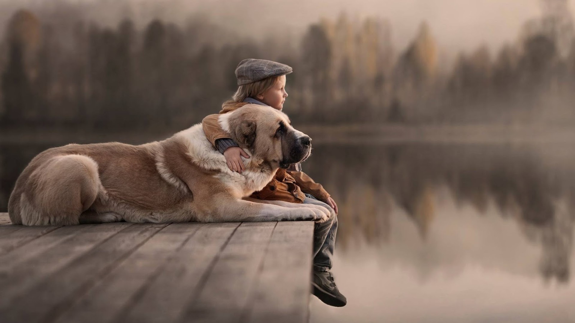 Dog With Kids , HD Wallpaper & Backgrounds