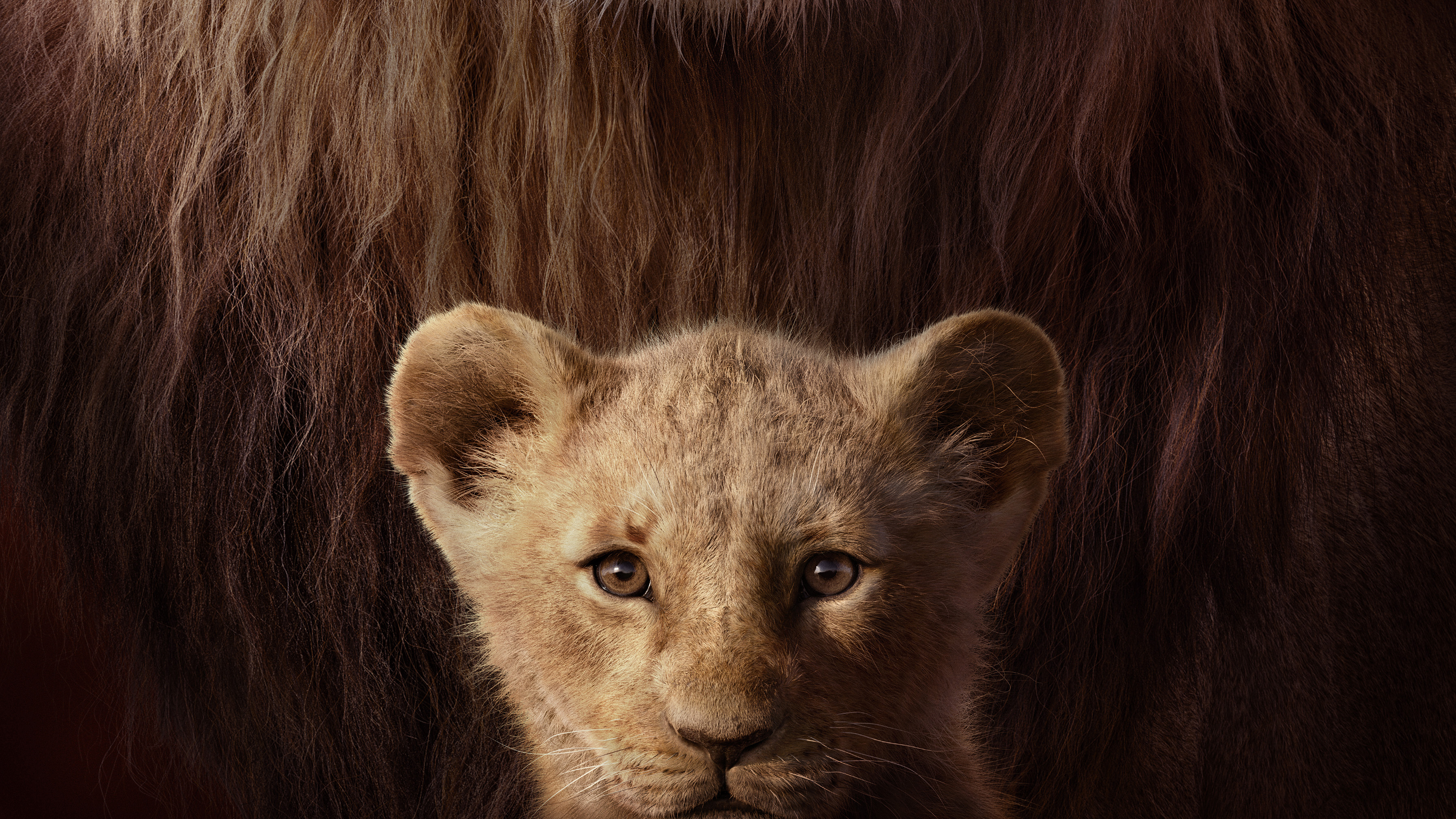 Movie Poster Lion King 2019 , HD Wallpaper & Backgrounds